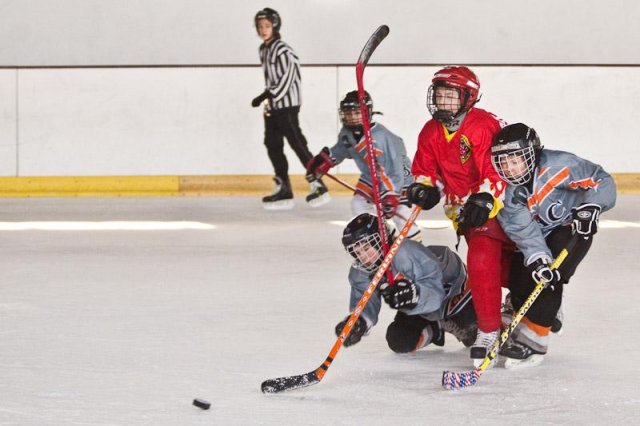 Photo hockey reportage U11 Orléans vs ACBB : Reportage photos