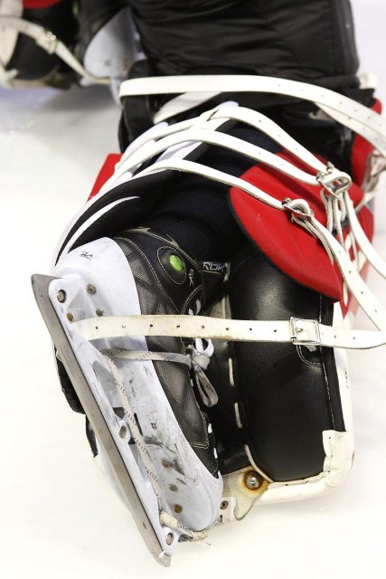 Photo hockey reportage D2 - Photos Lyon vs Toulouse