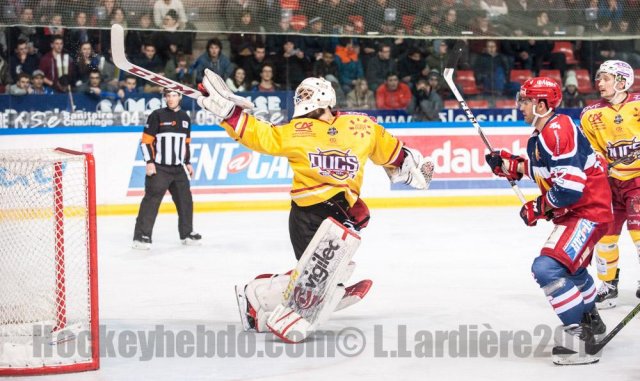 Photo hockey match Grenoble  - Dijon  le 24/01/2017