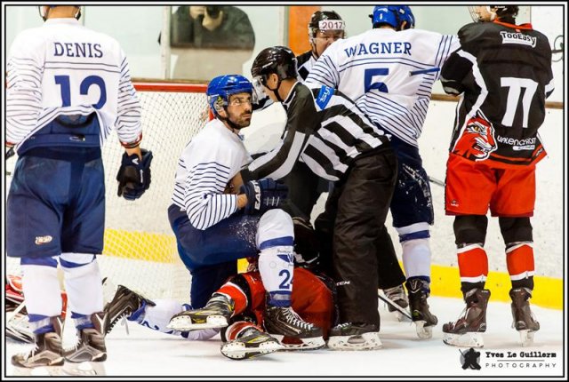 Photo hockey match Valence - Paris (FV) le 28/01/2017