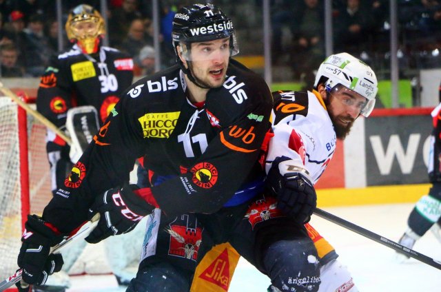 Photo hockey reportage NLA: Libérez les ours !