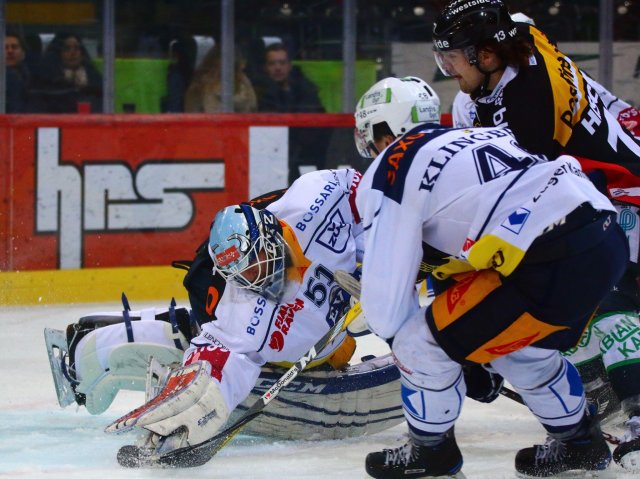 Photo hockey reportage NLA: Libérez les ours !