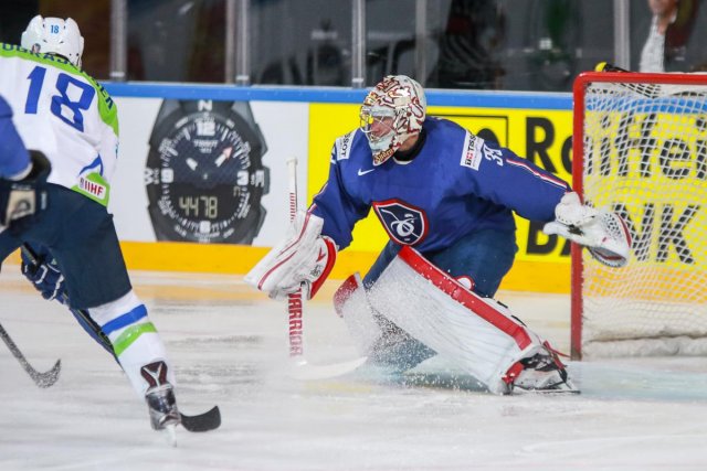 Photo hockey match France - Slovenia le 15/05/2017