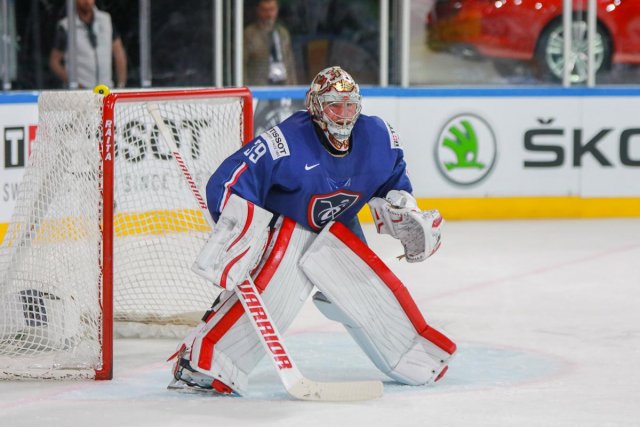 Photo hockey match France - Slovenia le 15/05/2017