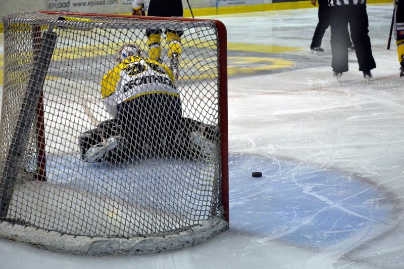 Dijon  7 - 1 Roanne