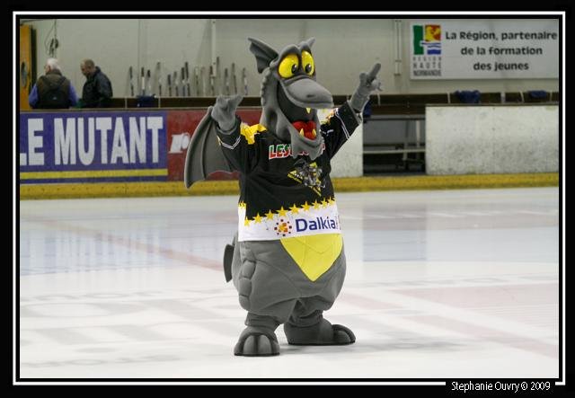 Photo hockey match Rouen - Dijon  le 17/02/2009