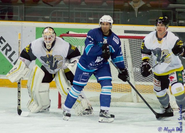 Photo hockey match Marseille - Chambéry le 11/11/2017