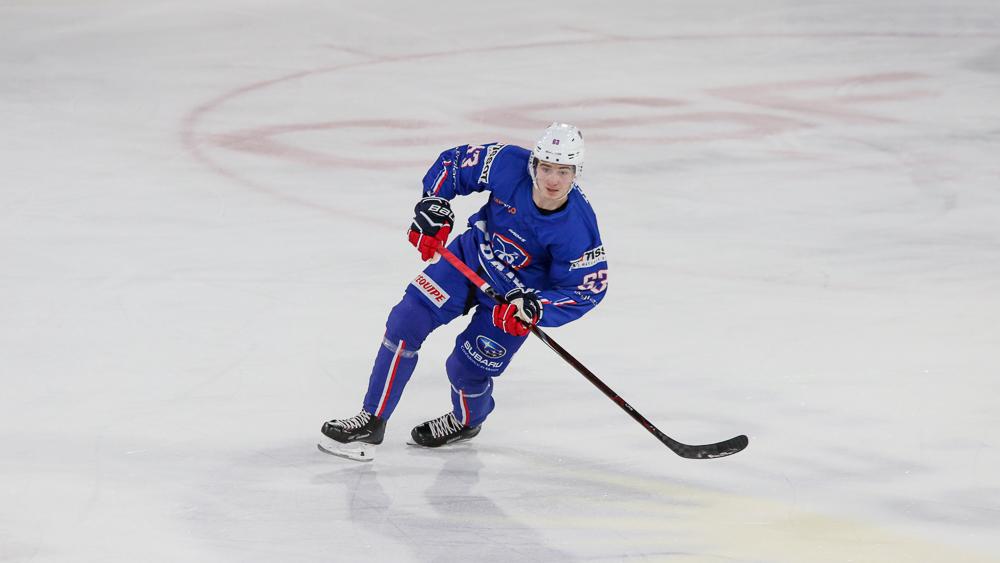 France 2 - 5 Czech Republic
