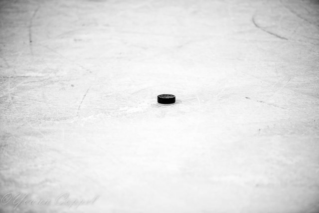 Photo hockey match Asnières - Caen II le 15/04/2018