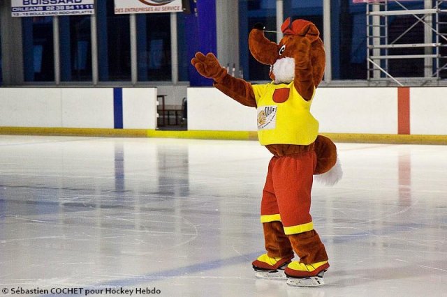 Photo hockey reportage D3 : PO - Orléans vs Anglet