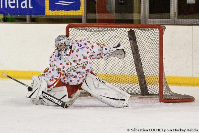 Photo hockey reportage D3 : PO - Orléans vs Anglet