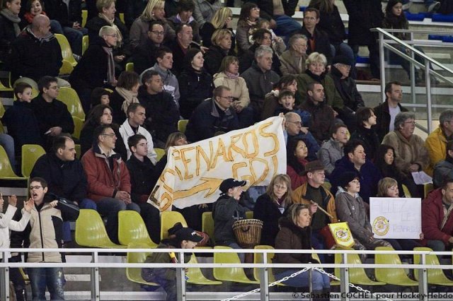 Photo hockey reportage D3 : PO - Orléans vs Anglet