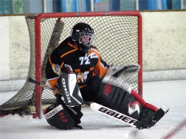 Photo hockey reportage Loisirs : Finale Hélvetico-Suisse