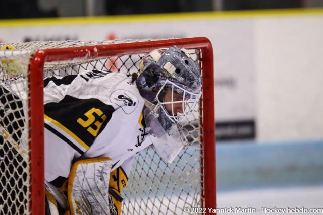 Photo hockey match Clermont-Ferrand - Strasbourg  le 15/01/2022
