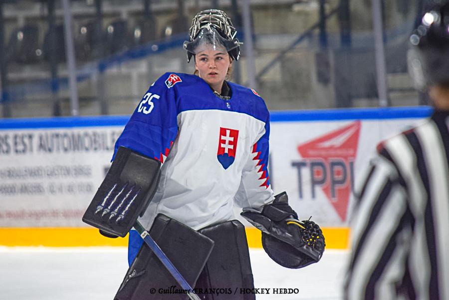 Austria 1 - 2 Slovakia