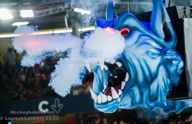 Photo hockey match Grenoble  - Berlin le 01/09/2022