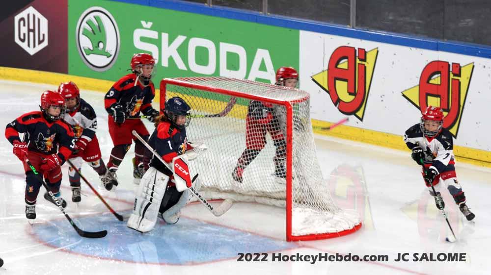 Grenoble  3 - 4 Mountfield