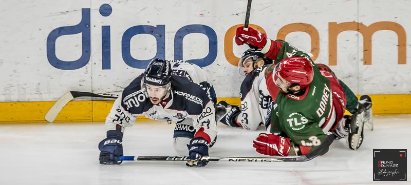 Cergy-Pontoise 1 - 5 Angers 