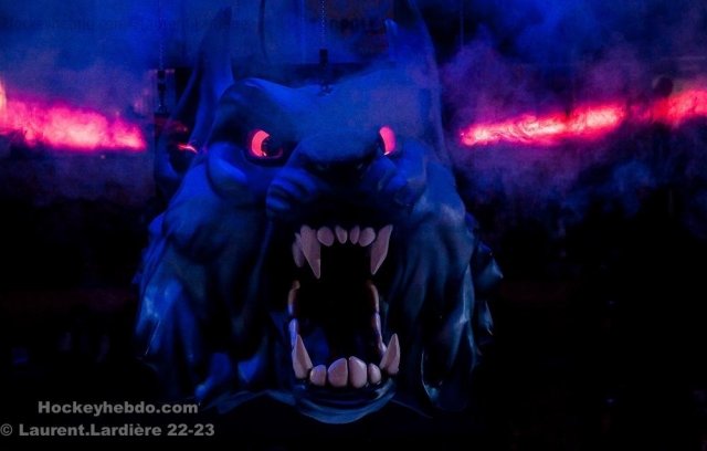 Photo hockey match Grenoble  - Angers  le 17/01/2023