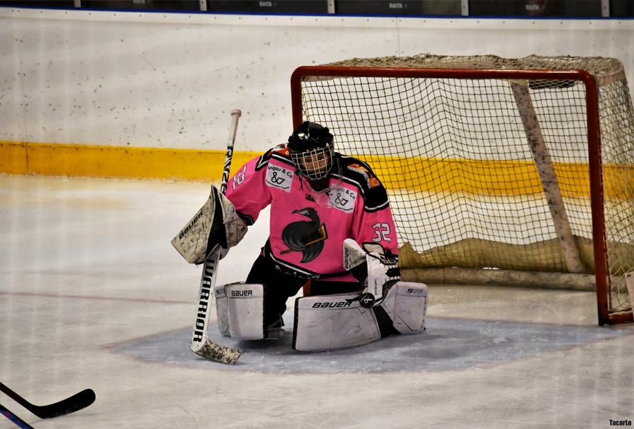 Rennes 5 - 4 Limoges