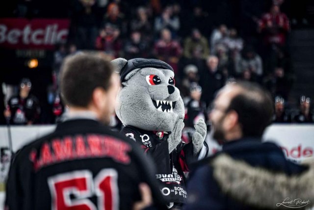 Photo hockey match Bordeaux - Gap  le 28/02/2023