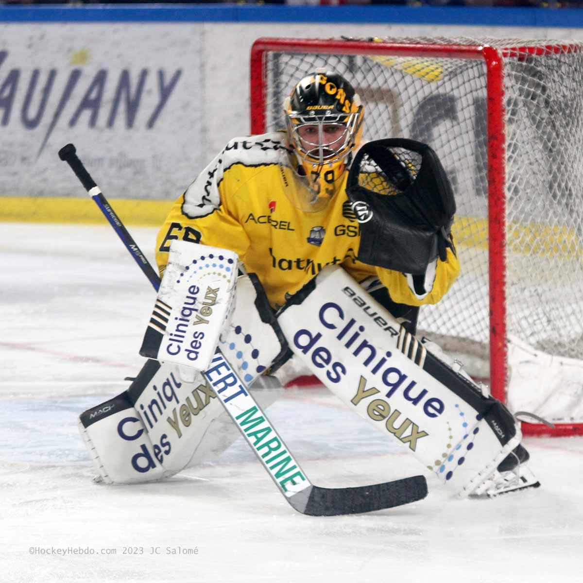Grenoble  8 - 2 Rouen