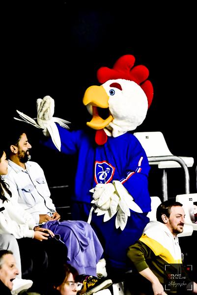 France 2 - 1 Slovenia