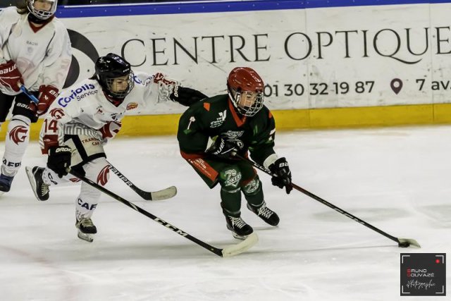 Photo hockey match Cergy-Pontoise / Féminin - Amiens / Féminin le 11/11/2023
