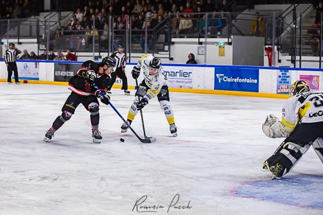 Photo hockey match Toulouse-Blagnac - Roanne le 20/01/2024