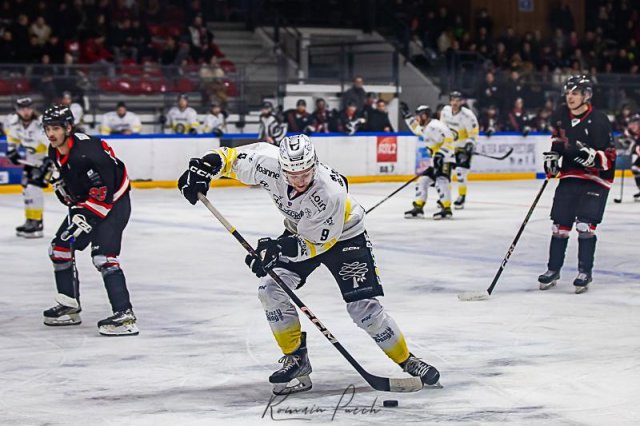 Photo hockey match Toulouse-Blagnac - Roanne le 20/01/2024