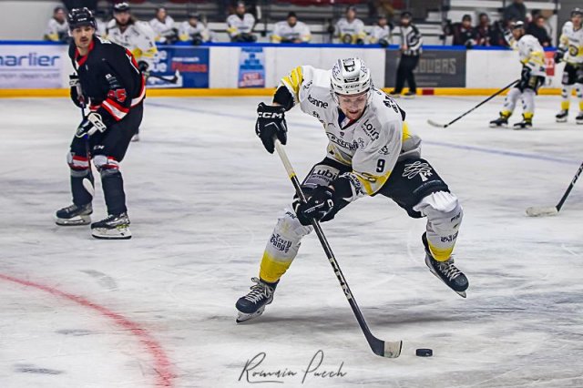 Photo hockey match Toulouse-Blagnac - Roanne le 20/01/2024