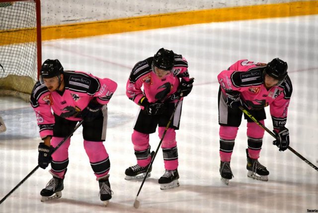 Photo hockey match Rennes - Brive le 27/01/2024