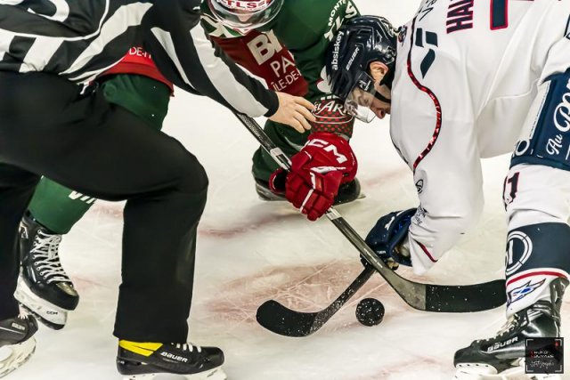 Photo hockey match Cergy-Pontoise - Angers  le 13/03/2024
