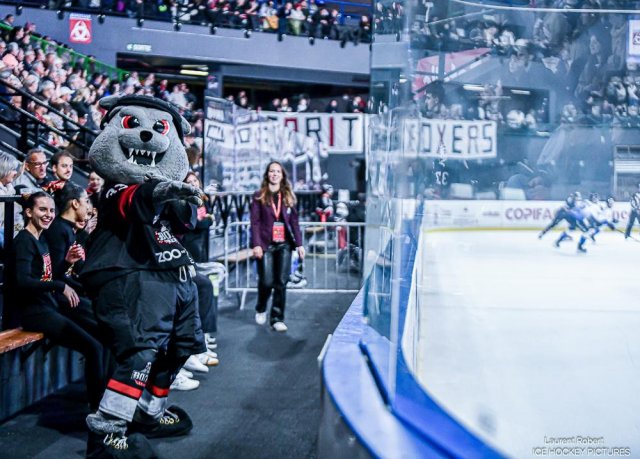 Photo hockey match Bordeaux - Gap  le 19/11/2024