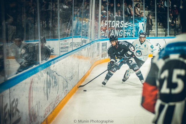 Photo hockey match Angers  - Marseille le 19/11/2024