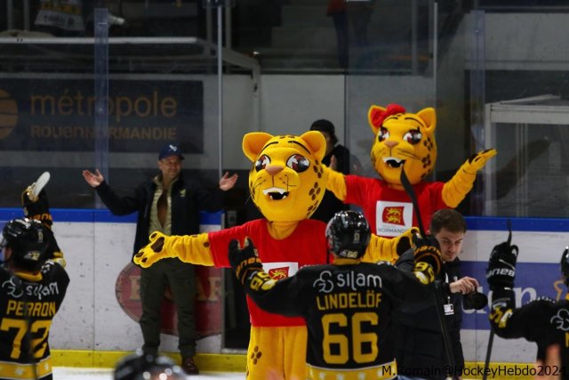 Photo hockey match Rouen - Briançon  le 06/12/2024