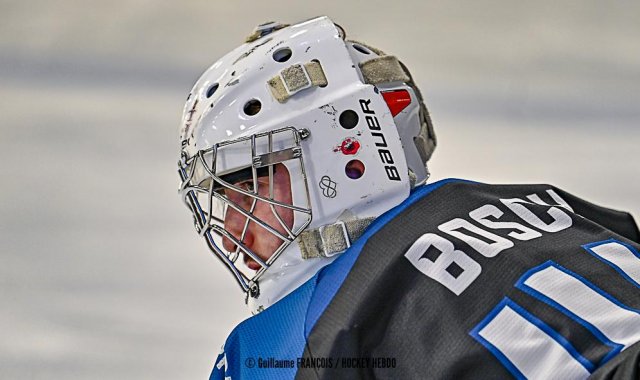 Photo hockey match Nantes - Strasbourg  le 29/01/2025