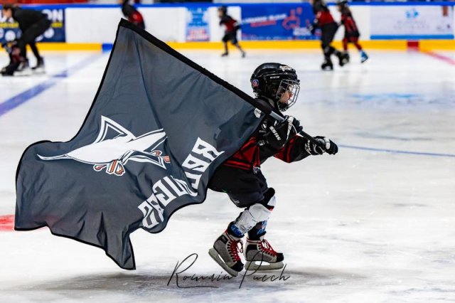 Photo hockey match Toulouse-Blagnac - La Roche-sur-Yon le 01/02/2025