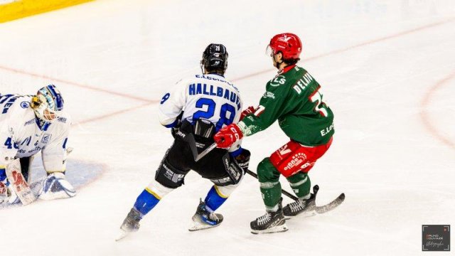 Photo hockey match Cergy-Pontoise - Gap  le 14/03/2025