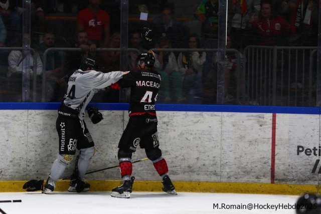 Photo hockey match Rouen - Amiens  le 07/09/2025