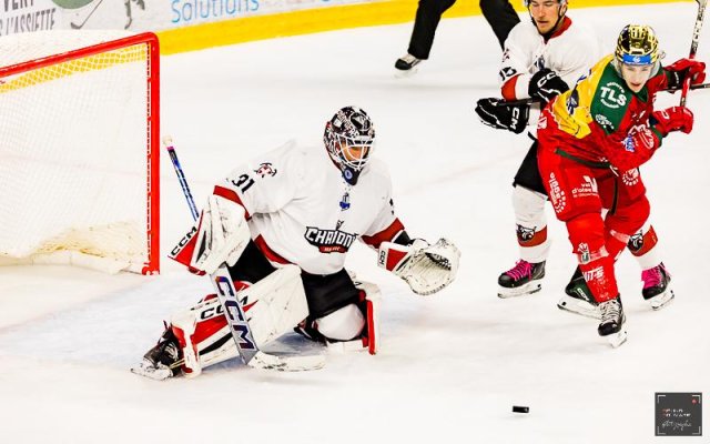 Photo hockey match Cergy-Pontoise - Chamonix  le 26/10/2025