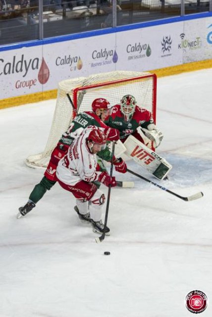 Photo hockey match Cergy-Pontoise - Briançon  le 14/11/2025