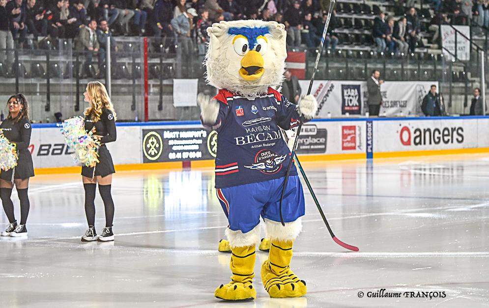 HK Mogo 4 - 6 Angers 