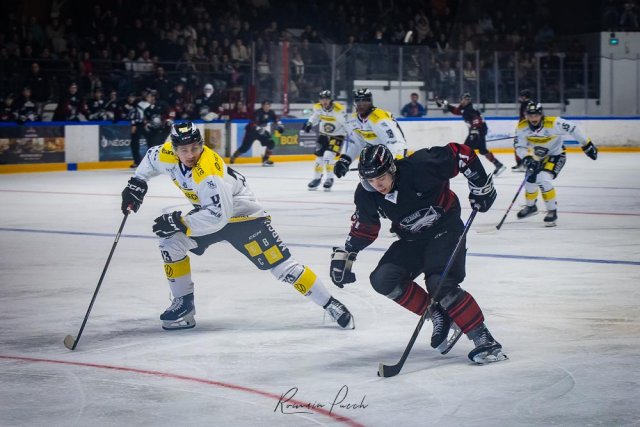 Photo hockey match Toulouse-Blagnac - Roanne le 15/11/2025