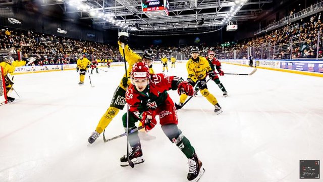 Photo hockey match Cergy-Pontoise - Rouen le 21/11/2025