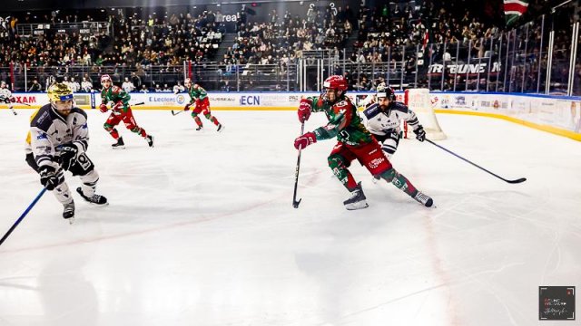 Photo hockey match Cergy-Pontoise - Marseille le 23/11/2025