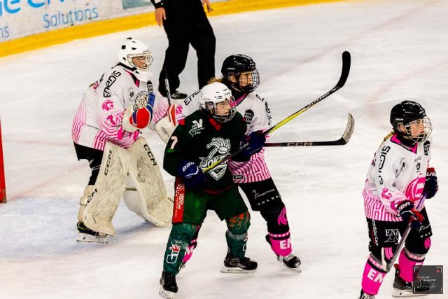 Photo hockey match Cergy-Pontoise / Féminin - Amiens / Féminin le 10/01/2026