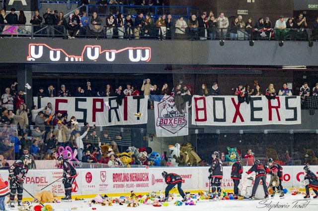 Photo hockey match Bordeaux - Briançon  le 16/01/2026