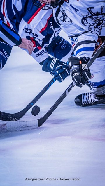 Photo hockey match Lyon - Courchevel-Méribel-Pralognan le 17/01/2026