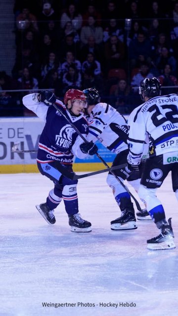 Photo hockey match Lyon - Courchevel-Méribel-Pralognan le 17/01/2026